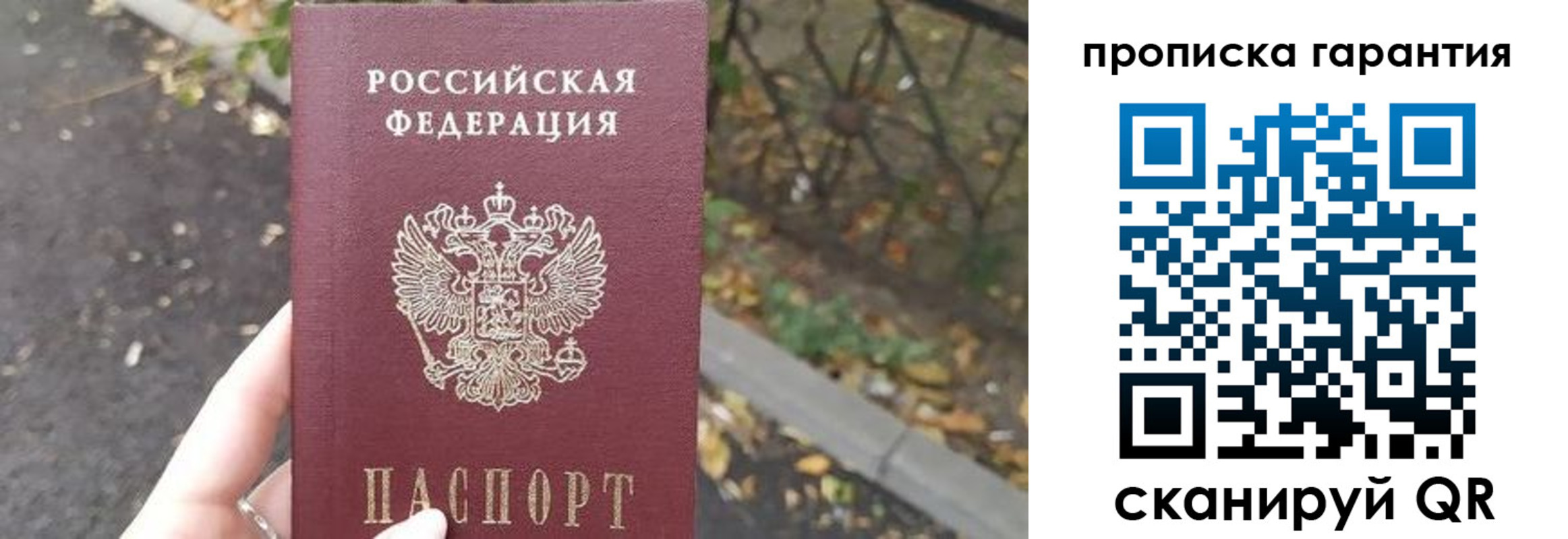 где прописаться в Болотном